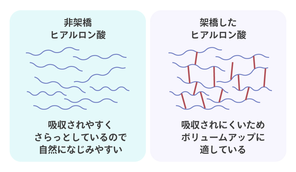 非架橋と架橋ヒアルロン酸の違い